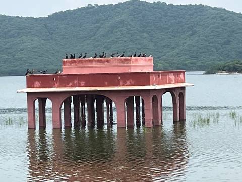 Pink building partially submerged in a lake with birds on top.
