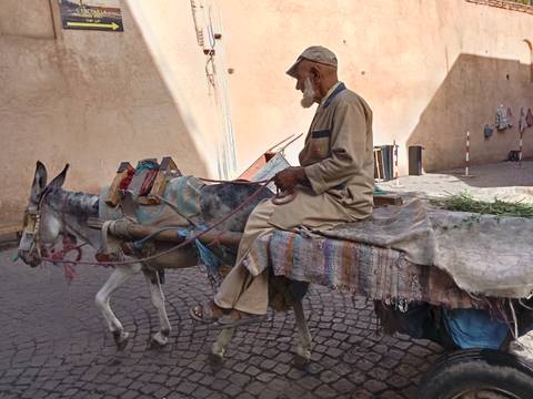 Abstract rounded sculpture in an outdoor setting.