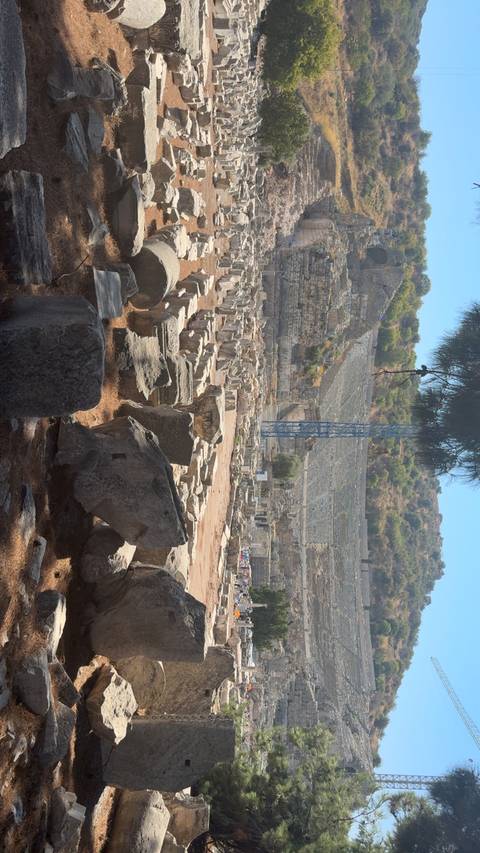 Ancient ruins with scattered stones and trees.