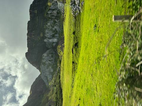 Charming coastal town with colorful buildings along a river.