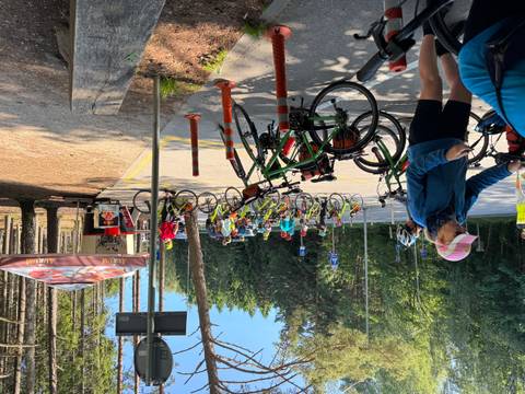 Group of people with bicycles at a rest stop amidst trees.