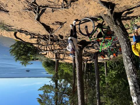 Person with a bicycle on a hill with large tree roots overlooking a body of water.