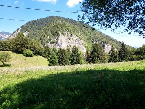 Mountain and forested area with clear skies and grassy field.