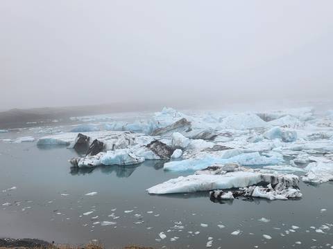 Icebergs floating in a lagoon.