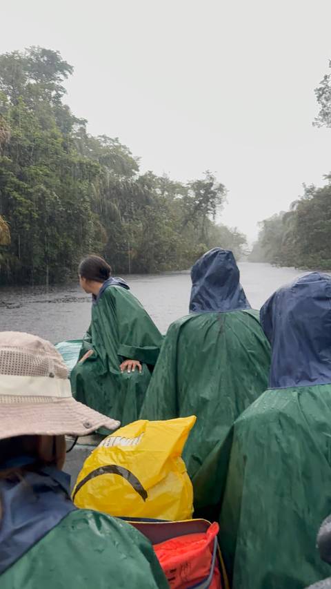 People wearing raincoats on a boat in a river surrounded by dense forest.