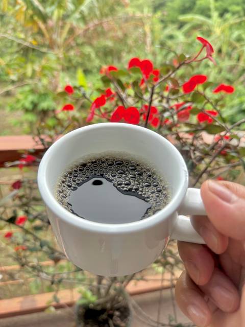       Cup of coffee held in front of a flowering plant.
  