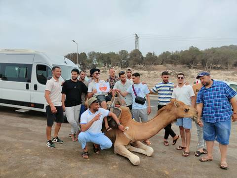       Group of men posing with a camel near vehicles.
  