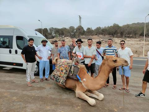       Men standing around a camel decorated with colorful fabric.
  