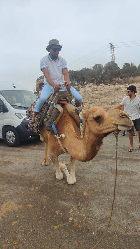       Close-up of a camel with a person riding it.
  