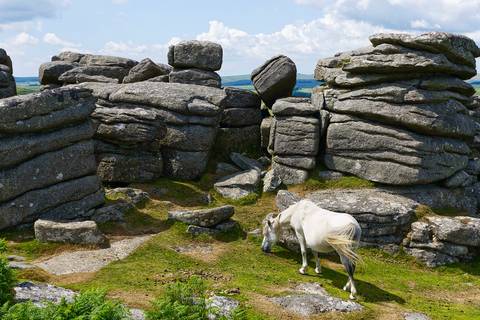 White horse grazing near rocky formations on a sunny day.