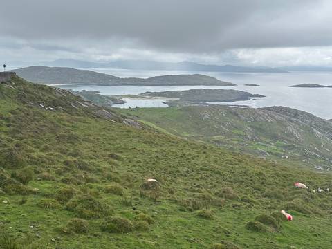 Hilly landscape with patches of green and ocean in the background.