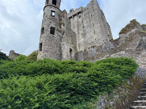 Ruined stone castle surrounded by bushes and overcast sky.