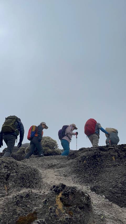 Group of people hiking in mountainous area.