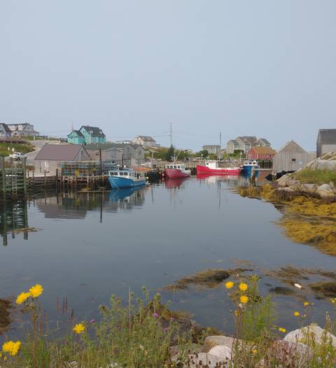Colorful boats docked at a small harbor with quaint houses.