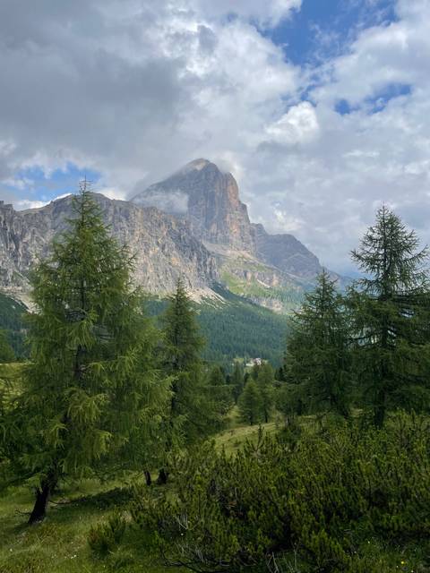 Mountainous landscape with trees and cloudy sky.