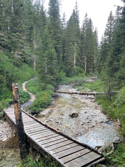 Nature trail alongside a shallow stream in a forest setting.