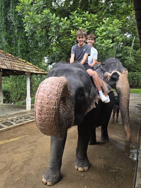 People riding on elephants with lush greenery in the background.