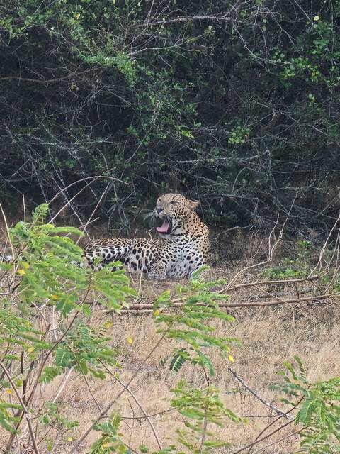 Klantbeoordelingsfoto van Sri Lanka voorbij het spoor 