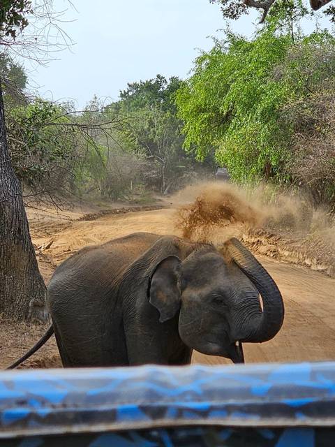 Klantbeoordelingsfoto van Sri Lanka voorbij het spoor 