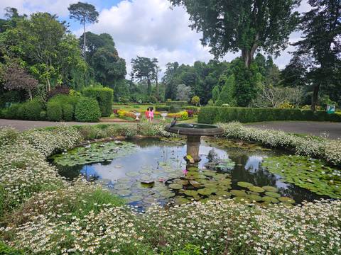 People walking in a vibrant botanical garden.