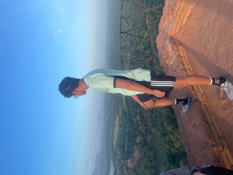       Young man looking over a lush landscape from a high vantage point.
  
