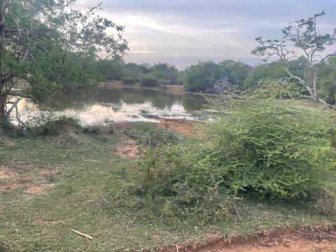       Calm water body surrounded by green vegetation.
  