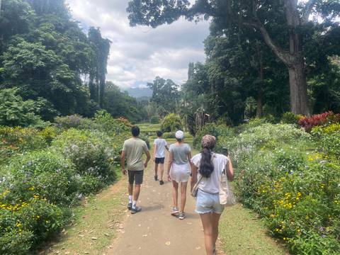 People walking through a garden with vibrant flowers.