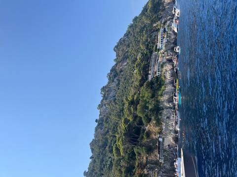 Coastal cliffs with greenery and boats in the water.