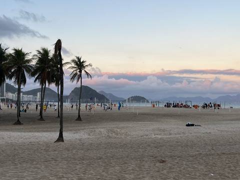       Beach scene with palm trees and people playing sports.
  