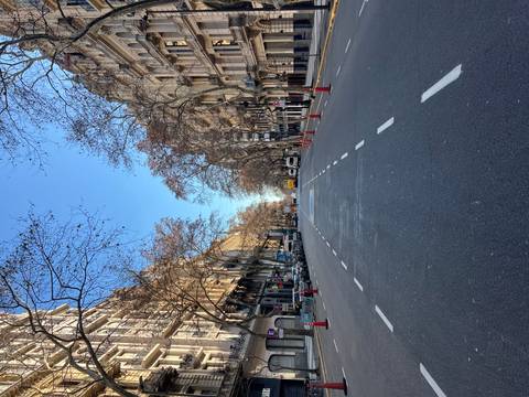       Empty street lined with trees and buildings.
  