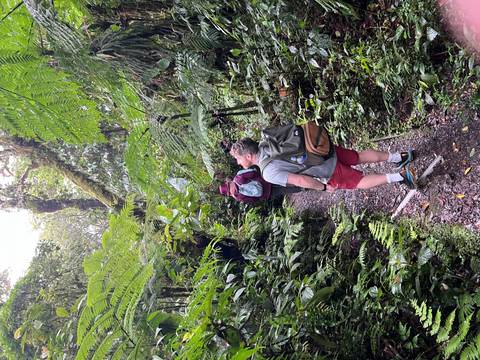People walking through a dense forest on a narrow path.