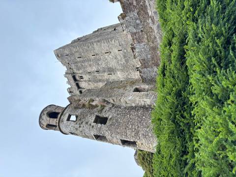       Blarney Castle with lush greenery in the foreground.
  