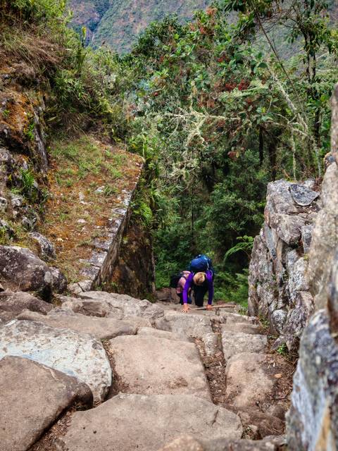 A person climbing steep Inca steps surrounded by lush greenery.
