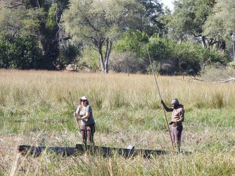 Two people navigating a canoe in a marshy area.