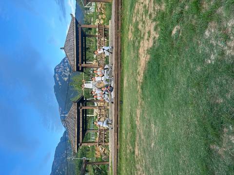 A group of people practicing martial arts with a mountain in the background.