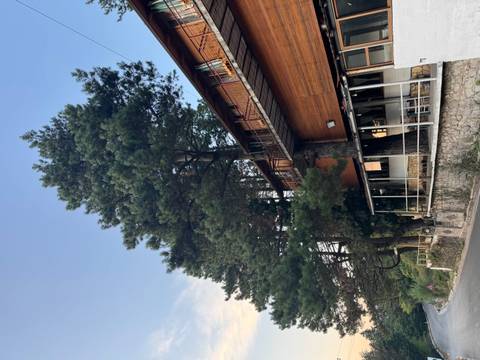 Wooden house surrounded by tall pine trees.