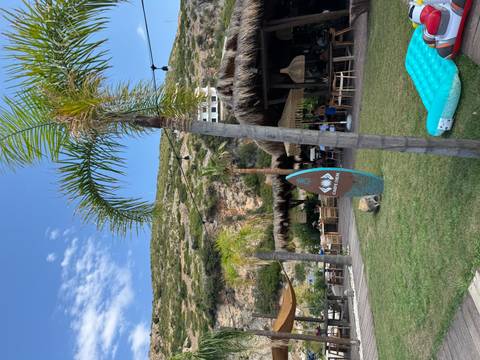 Outdoor restaurant with palm trees in the background.