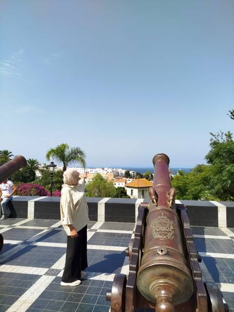      View of a cityscape with cannons and sea in the background.
  