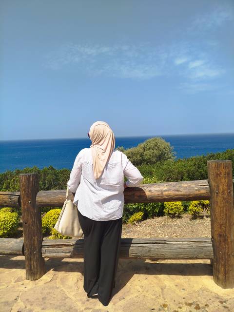       Person overlooking the ocean from a viewpoint.
  
