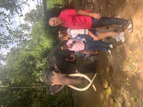 People interacting with a large elephant in a lush setting.