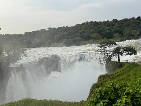       Waterfall flowing into a river surrounded by lush trees.
  