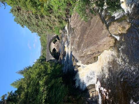 A stone bridge over a flowing river with trees around.