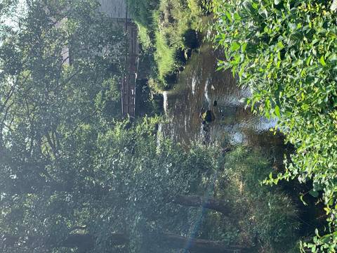 A wooden bridge over a narrow stream surrounded by dense foliage.
