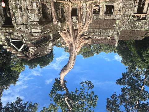 Tree roots growing over ancient stone temple ruins.
