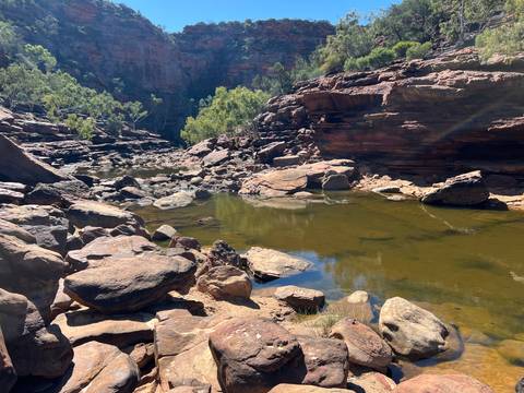 Rocky riverbed surrounded by vegetation.