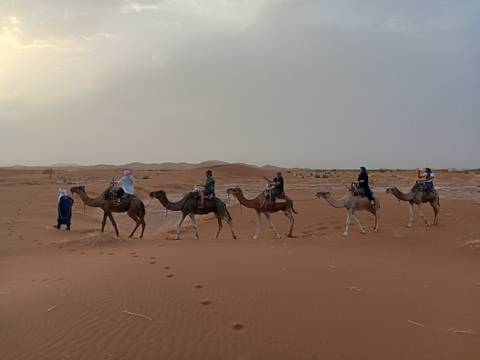       Group camel caravan trekking through the desert.
  