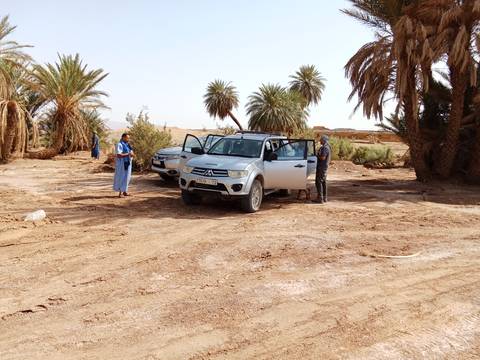 A parked SUV in an oasis with palm trees in the desert.