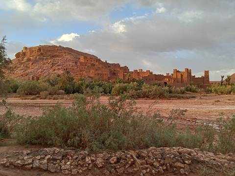 View of a traditional Kasbah with palm trees and a hill.