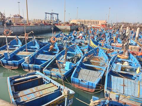 A harbor filled with blue fishing boats.