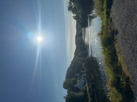 Sunny day over a calm river and rural buildings.